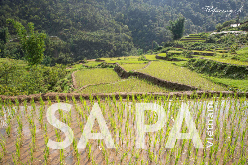 Sapa